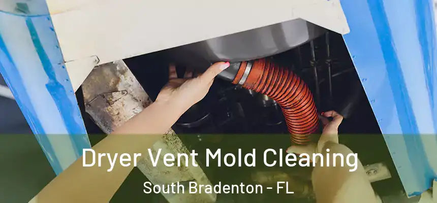 Dryer Vent Mold Cleaning South Bradenton - FL
