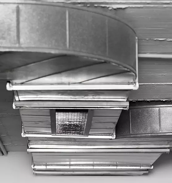 Professional Air Duct Pest Removal in South Bradenton, FL