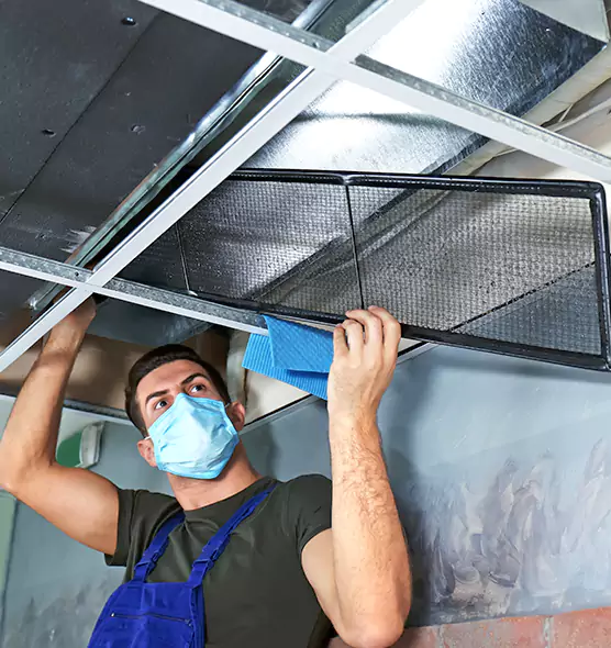 Professional Air Duct Pollen Cleaning in South Bradenton, FL