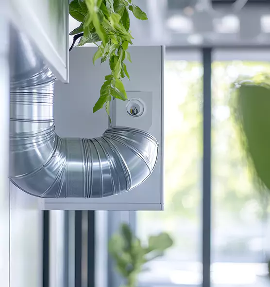 Professional Eco-Safe Dryer Vent Cleaning in South Bradenton, FL