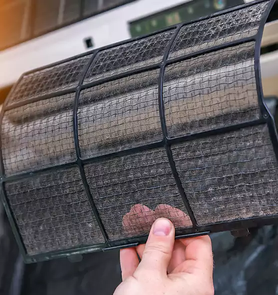 About Pet Dander Duct Cleaning in South Bradenton, FL